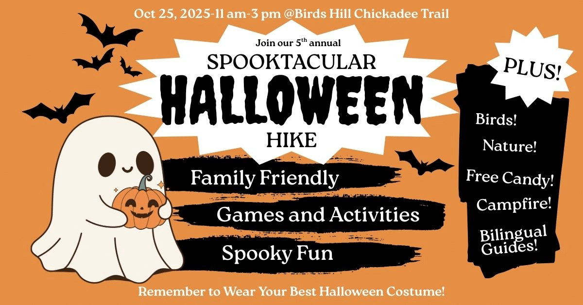 Featured image for “A Fall Tradition Your Family Will Love”