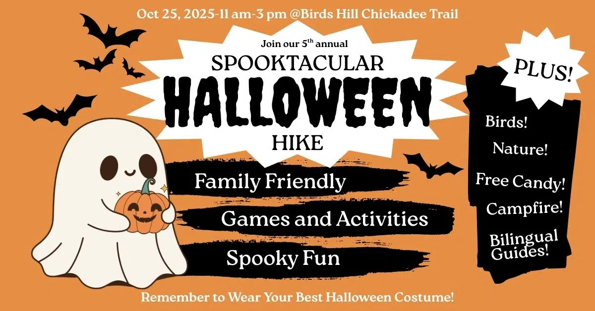 Featured image for “A Fall Tradition Your Family Will Love”