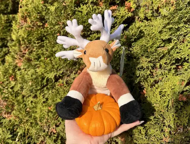 Featured image for ““Don’t Ghost the Planet This Halloween””