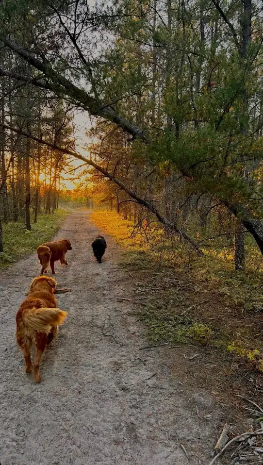 Featured image for “How the CPAWS Manitoba Team Connects with Nature This Fall”