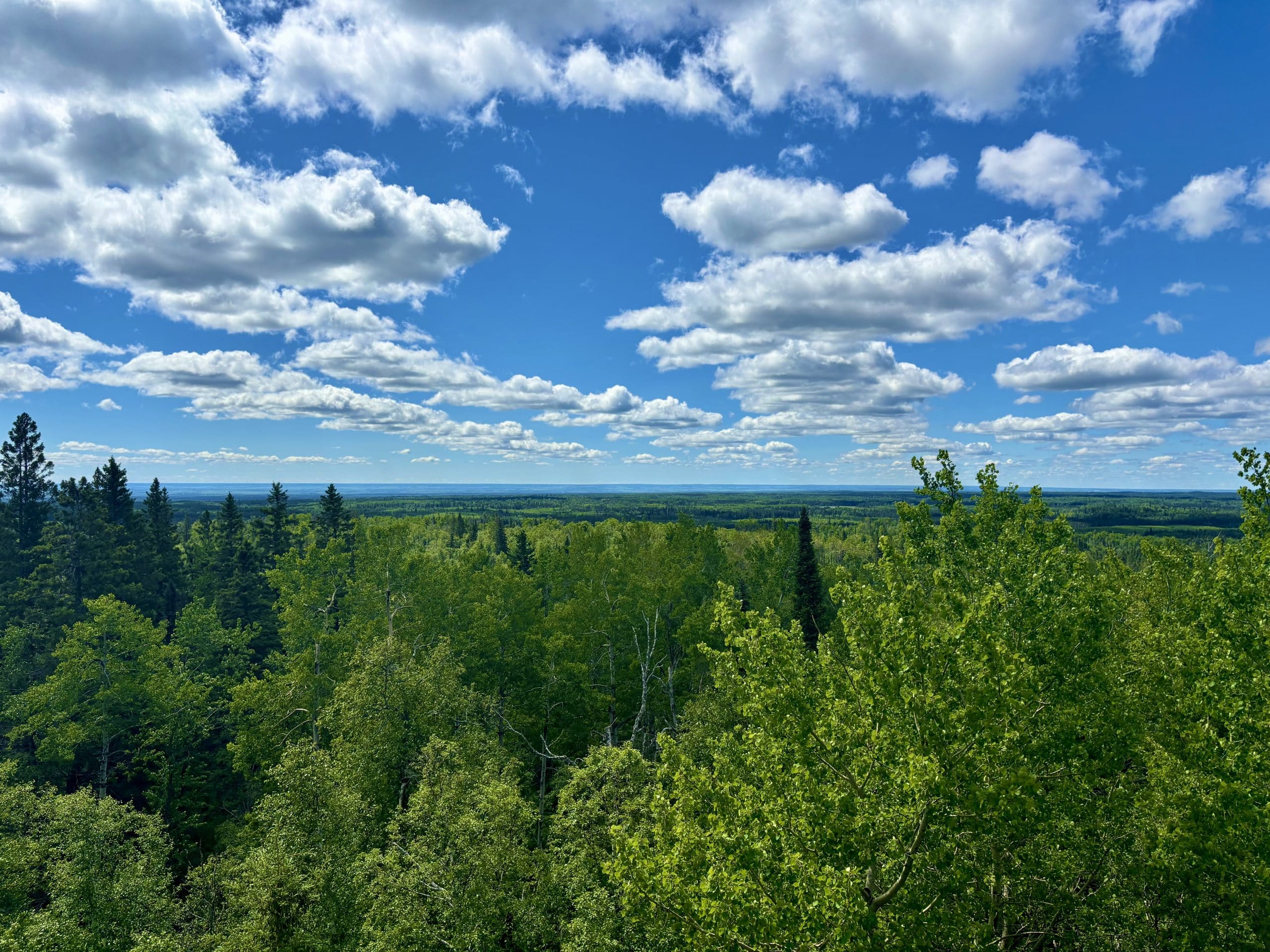 Featured image for “What’s In and What’s Out for Nature”