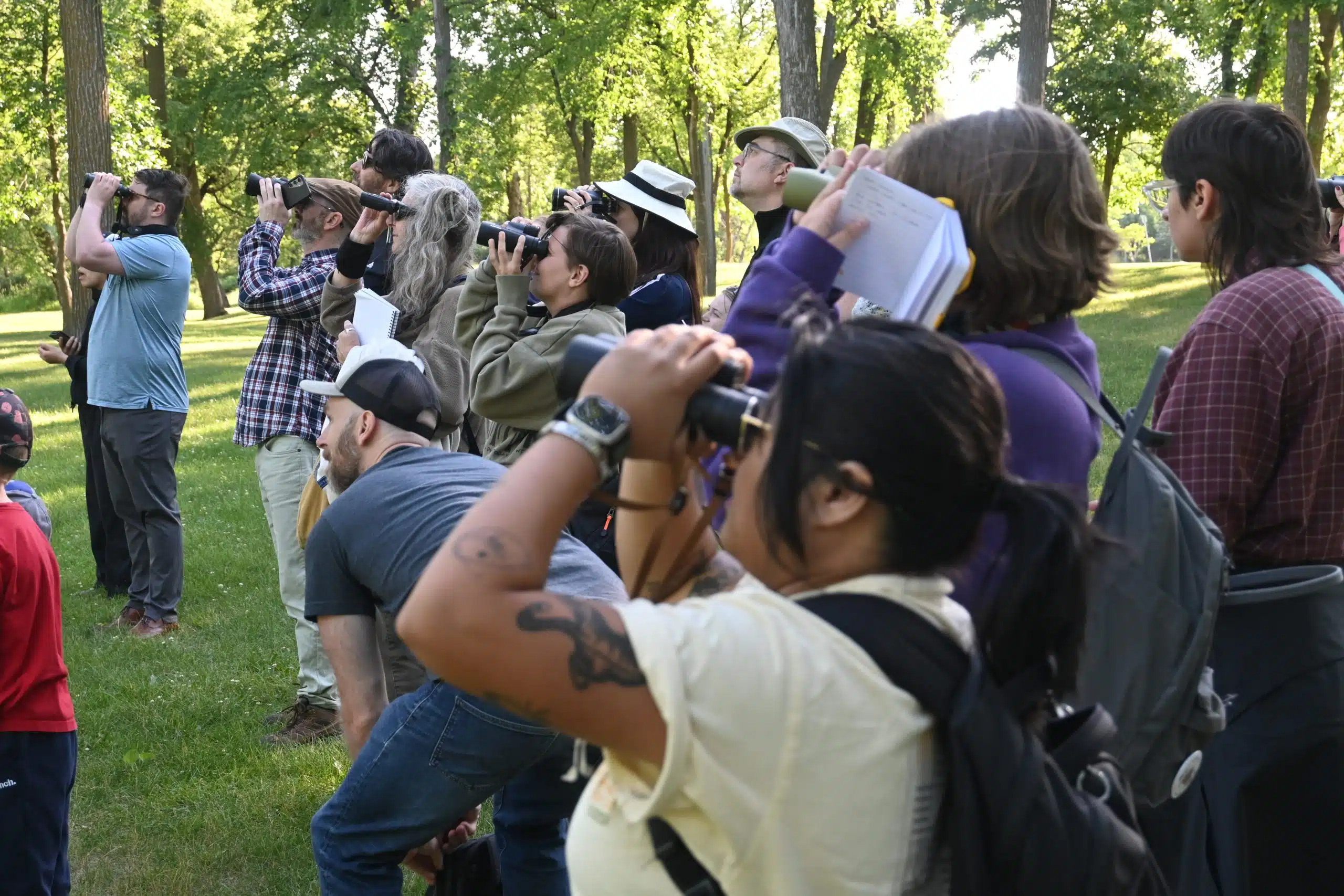 Featured image for “Summer of Workshopping”