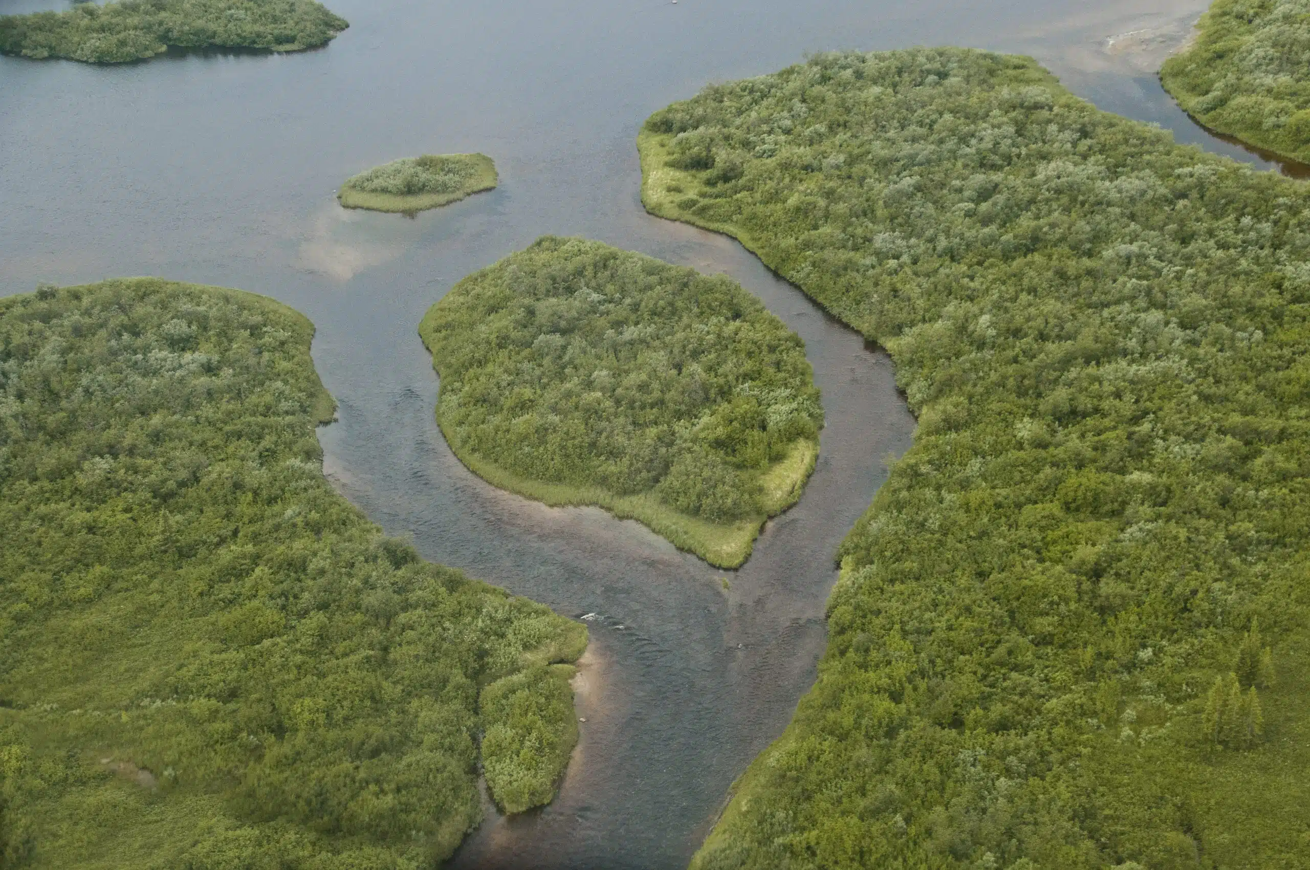 Featured image for “Support the Plan to Protect the Seal River Watershed”