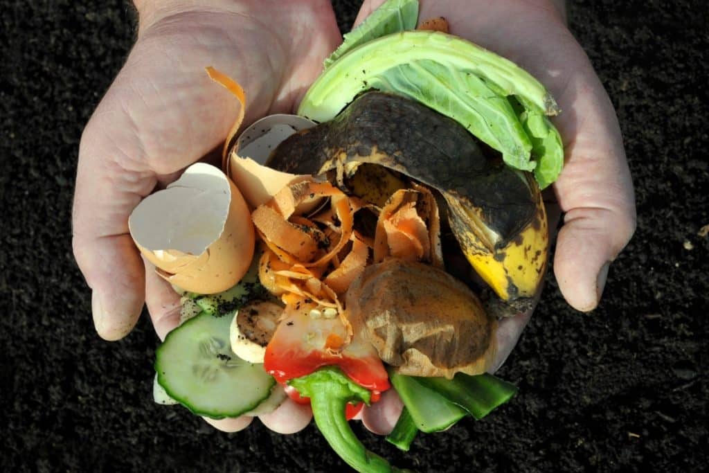 Two hands holding fruit and vegetable scraps and peels.